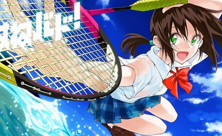 Anime Ost Download Opening Ending Hanebado [completed] Anime Bukatsu