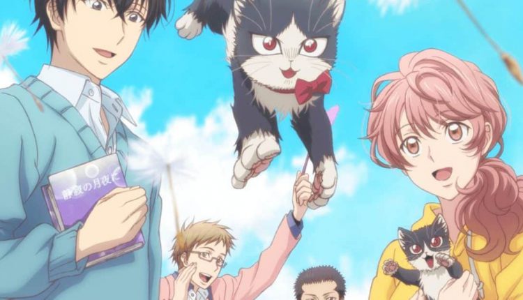 Anime Ost: Download Opening Ending Doukyonin wa Hiza, Tokidoki, Atama no Ue