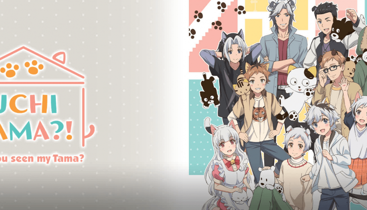 Anime Ost: Download Opening Ending Uchi Tama?! Uchi no Tama Shirimasen ka?
